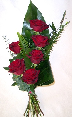 6 Red  Roses Tied