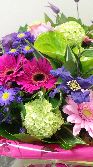 Colourful Day