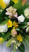 Fragrant Spring
