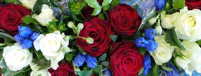 Red,Blue & White loose heart